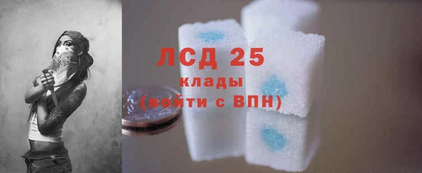 ГАЛЛЮЦИНОГЕННЫЕ ГРИБЫ Краснослободск