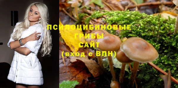 ГАЛЛЮЦИНОГЕННЫЕ ГРИБЫ Краснослободск