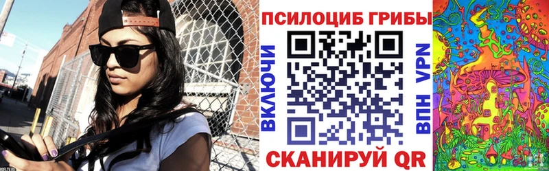 Купить  Георгиевск  Псилоцибиновые грибы мицелий 